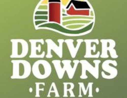 Denver Downs Farm